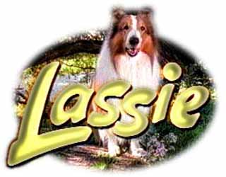 Show Logo