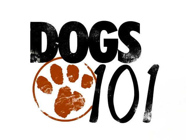 Show Logo